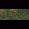 Maple Burl, Green - 3/4" - Stabilized